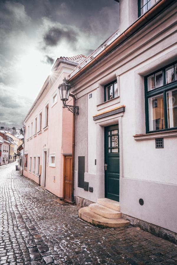 Český Krumlov Ultra Premium Apartments المظهر الخارجي الصورة